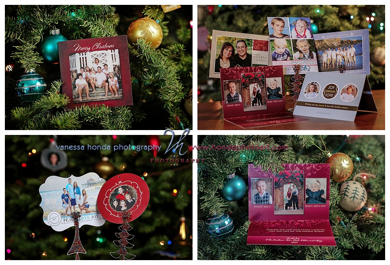 Christmas and Holiday Photography Products_643