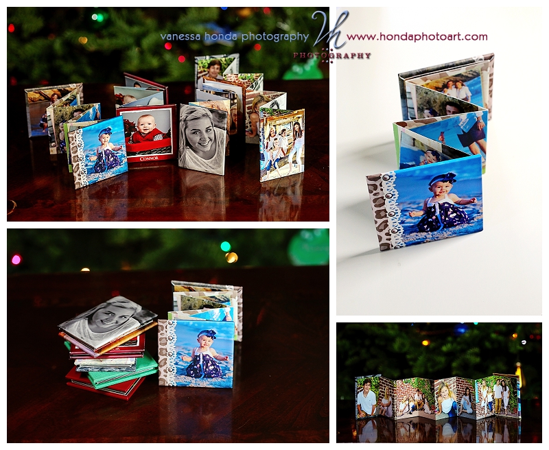 Christmas and Holiday Photography Products_644