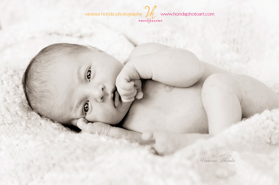 16x24-canvas-sepia-Xander