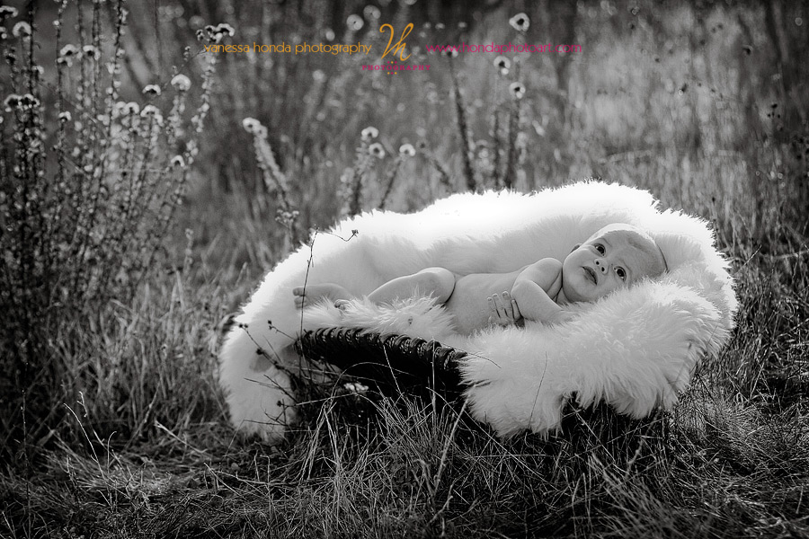 Back-Bay-Mini-Sessions-9729-2-Edit-Edit
