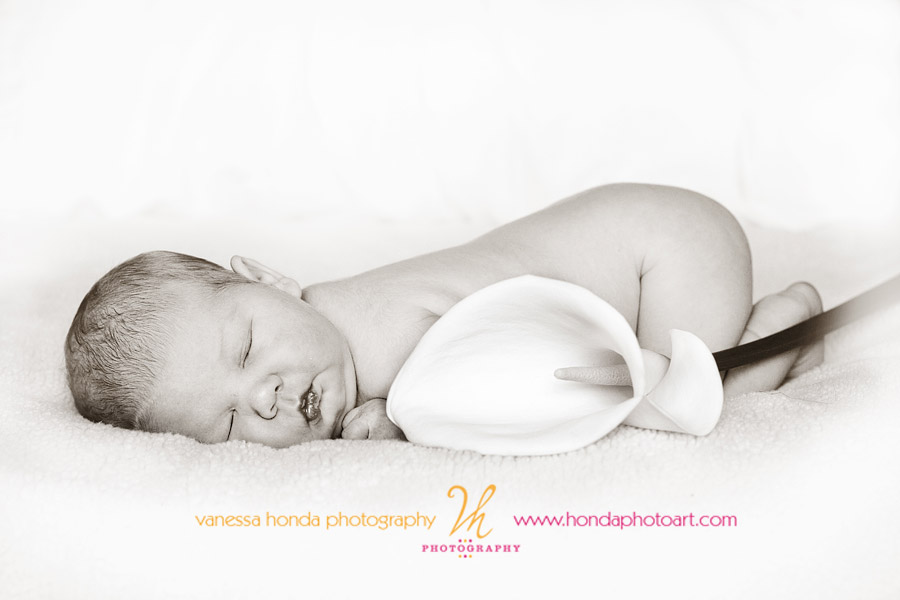 Lily's-Newborn-Shoot-163-Edit-vignette-B&W-high-key