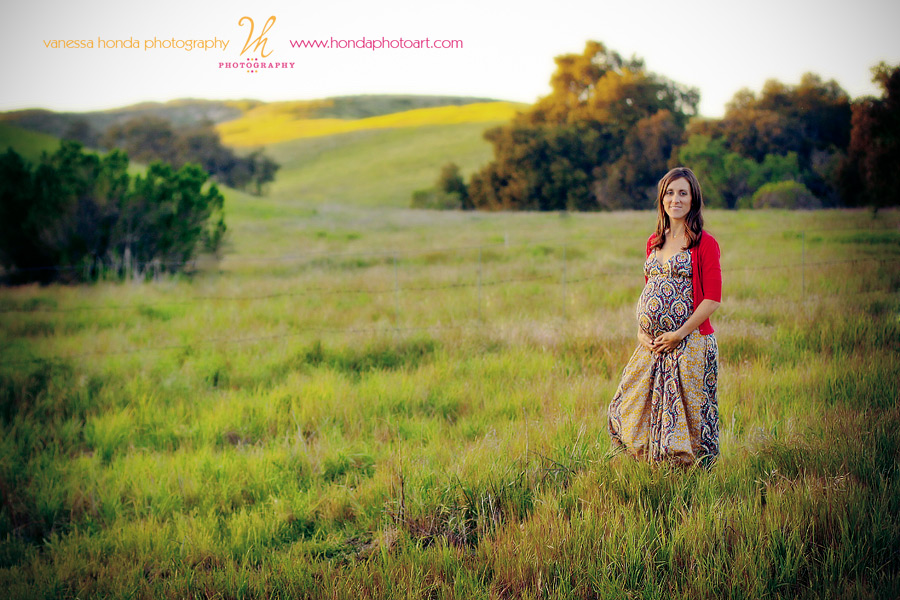 Wheeler-1651-Edit-Edit-Edit