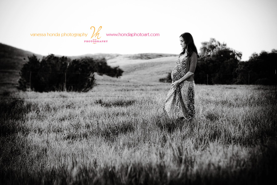 Wheeler-1659-Edit-Edit