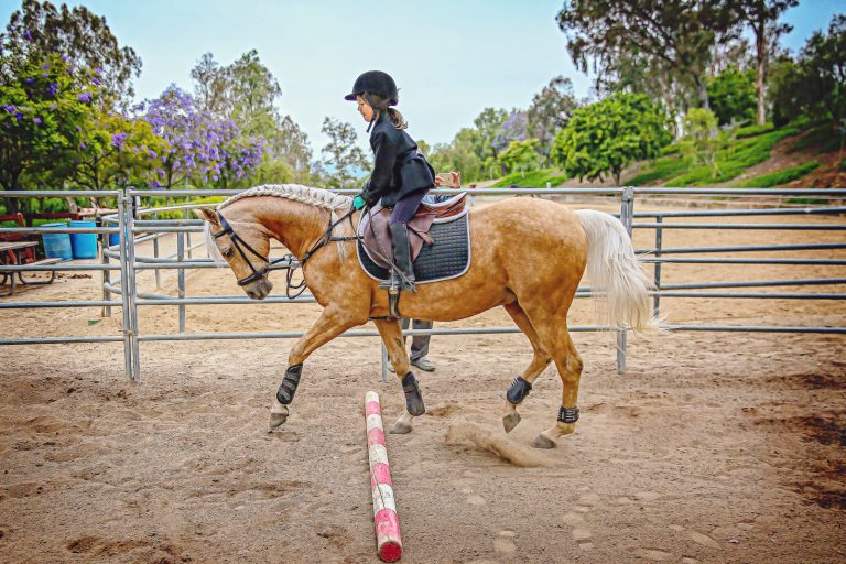 A girl and her horse {Orange County Equestrian Portraits}