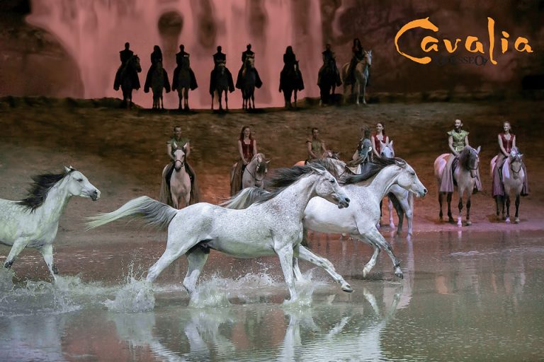 The Best Show Ever is coming back to Southern California {Southern California Equestrian Photographer}