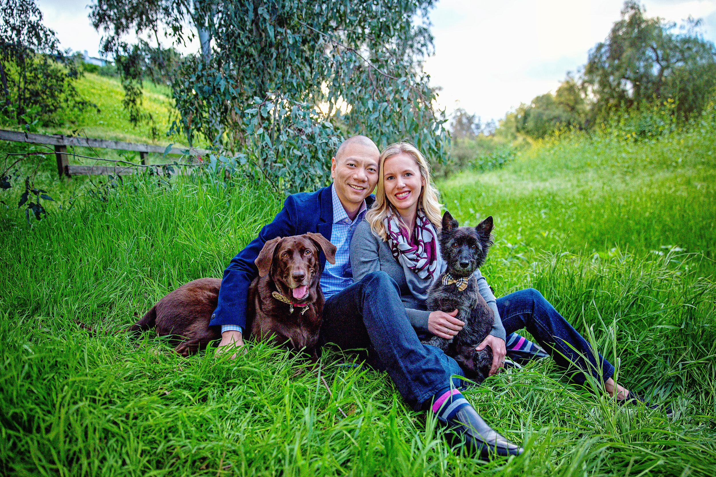 Couple with two dogs posting
